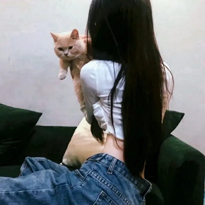 升起月光