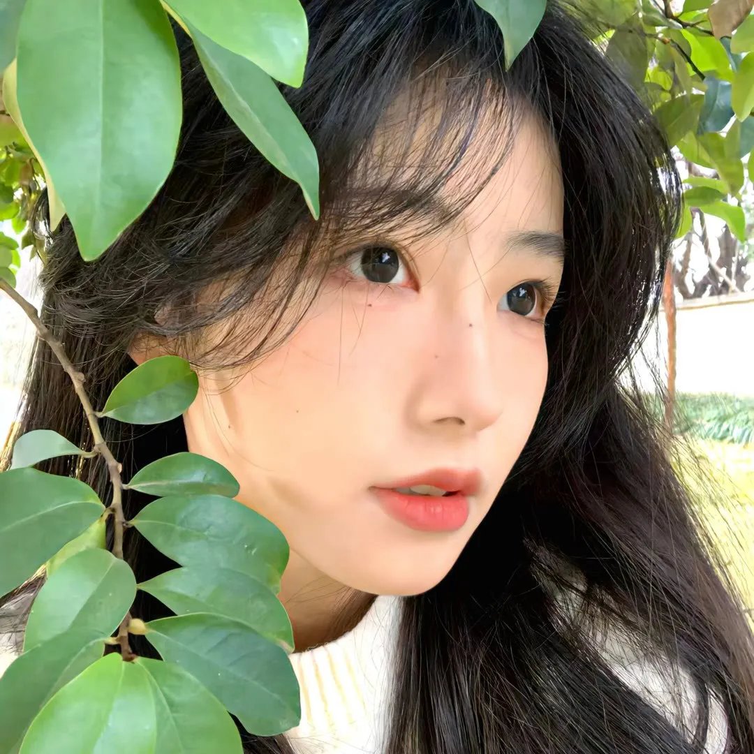 霹雳玫瑰